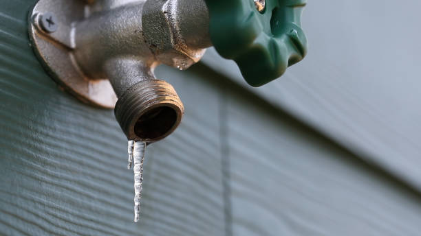 Best Local Plumber Services  in Springville, UT