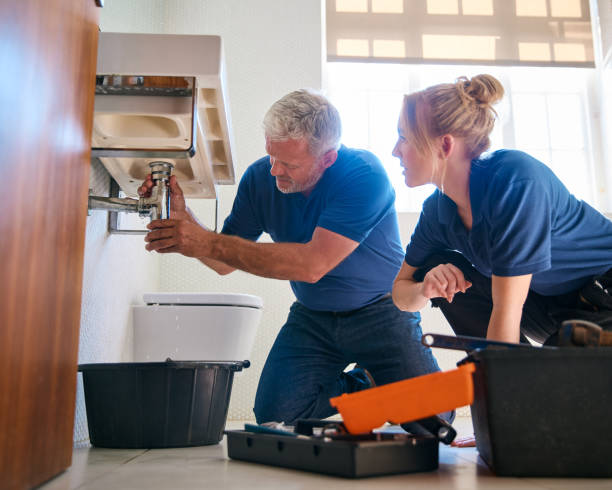 Best Same-Day Plumbing Service  in Springville, UT